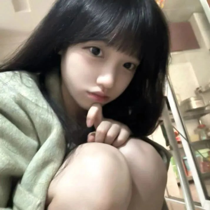 牢笼的熊