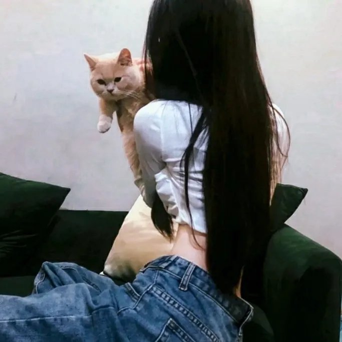 心宅猎人
